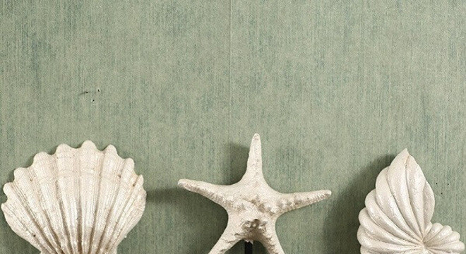 Gancho de parede em formato de conchas e estrela do mar