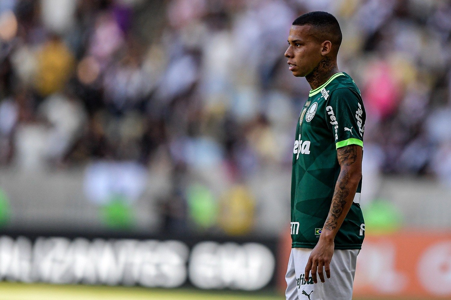 Palmeiras teve defesa vazada em todos os jogos em casa no Brasileirão