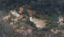 Comissão sobre situação yanomami adia votação de plano de trabalho