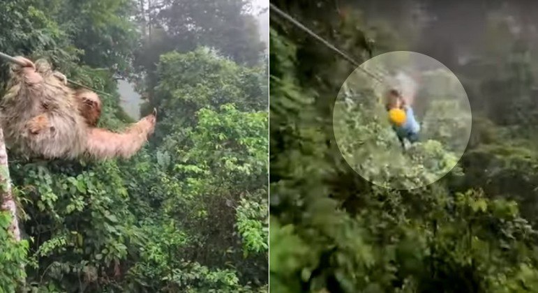 Garotinho colidiu com preguiça pendurada no meio de tirolesa na Costa Rica