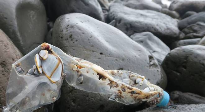 Na última década, o número de garrafas plásticas vindas China achadas na Ilha Inacessível disparou