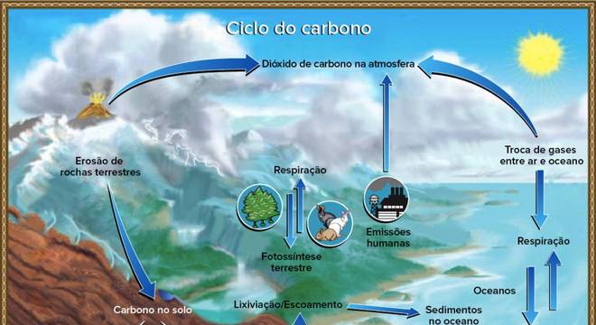 Gás carbônico, o que é? Definição, características e ciclo do carbono