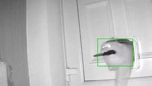 Gata com fama de ladra retorna para casa com faca entre os dentes