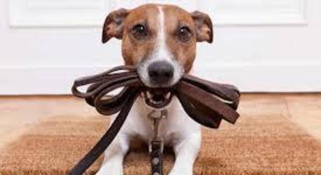 Gatilhos mentais - o que são, como funcionam e principais formas de uso