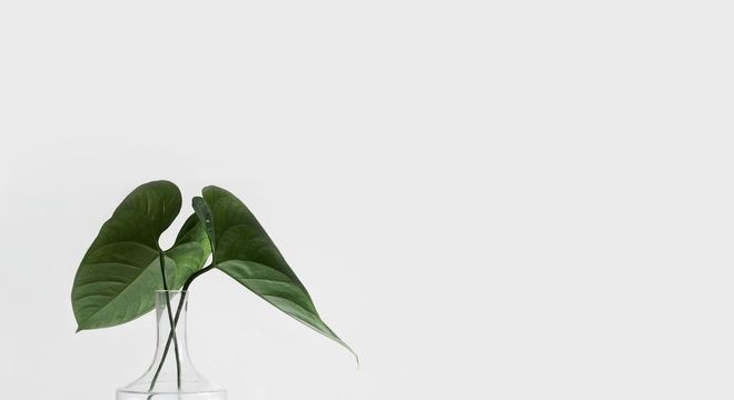 Gatilhos mentais - o que são, como funcionam e principais formas de uso