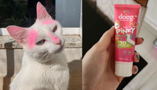 Tutora passa protetor solar em gatinha branca e animal fica rosa; entenda