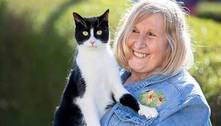 Gato serve de 'ouvidos' para tutora surda e recebe prêmio nacional