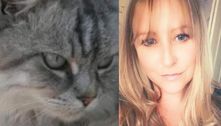 Dona encontra gato que estava perdido há 10 anos no Reino Unido