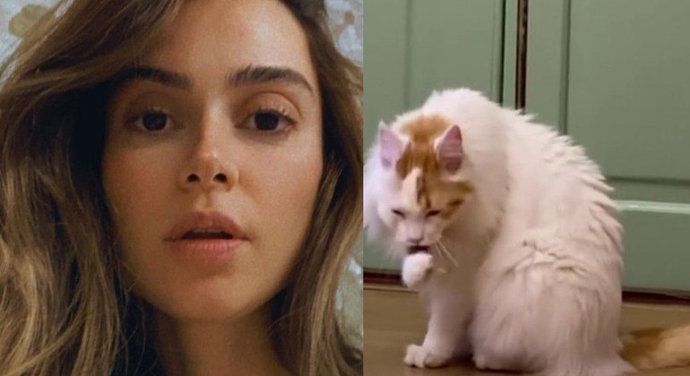 Thaila Ayala resgatou gato que estava há 10 dias preso em árvore no Rio de Janeiro