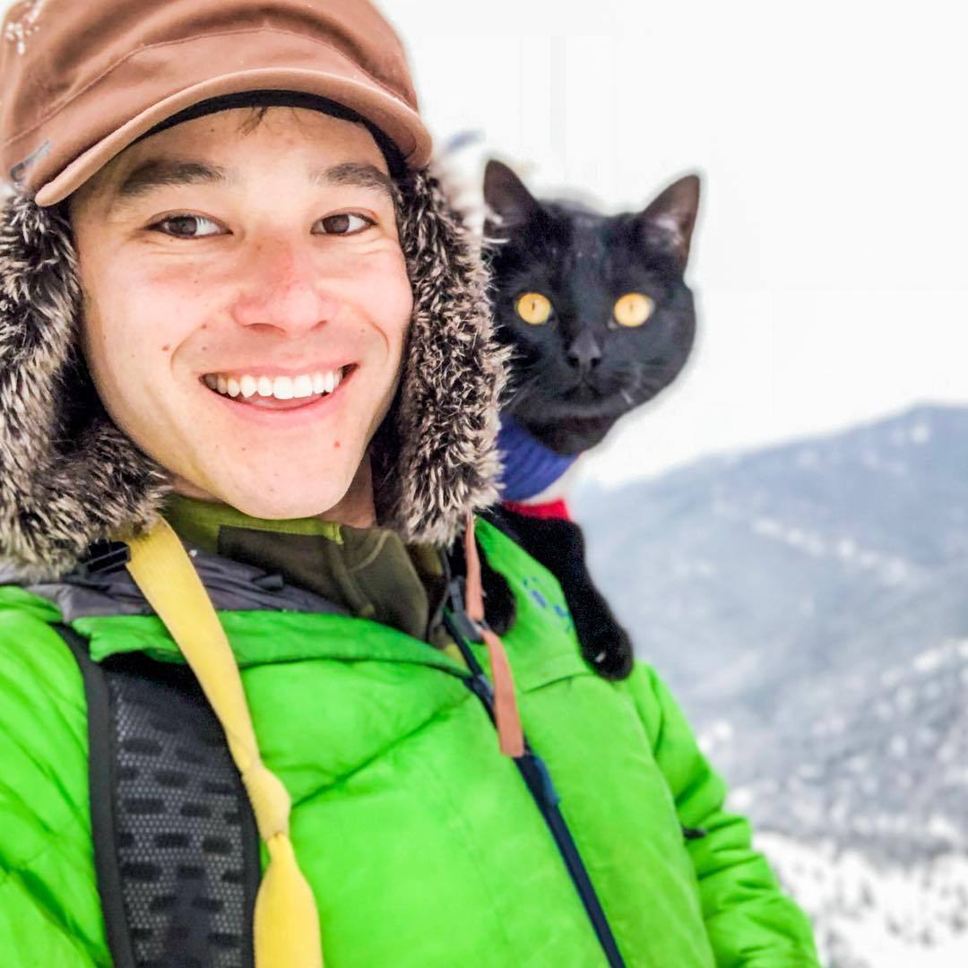 Gato mais aventureiro do mundo é sensação no Instagram - Fotos - R7 Hora 7