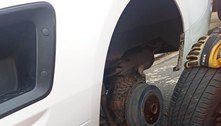 Gato fica preso em roda de carro em Uberaba (MG)