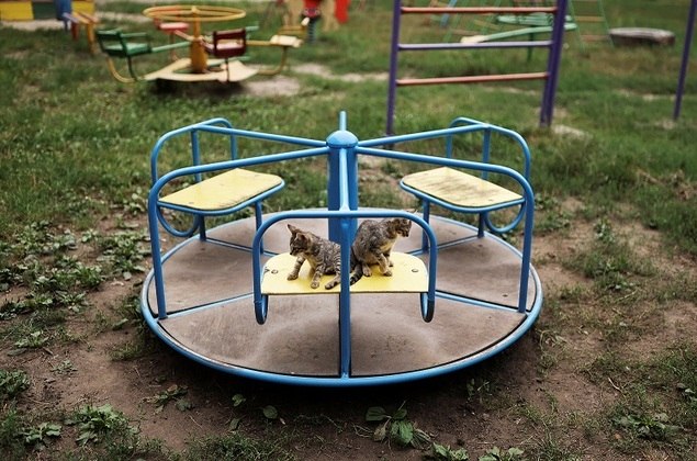 Cats sit on a merry-go-round at an empty playground of a residential building, as Russia's invasion of Ukraine continues, in Kramatorsk , Donetsk region Ukraine