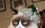 2 - Grumpy Cat (4/04/2012 - 14/05/2019)Outra gata cujo sucesso está estampada no rosto! Grumpy (ou Rabugenta) tinha nanismo felino e maloclusão felina, uma má formação dentária. Grumpy começou a ficar famosa após uma foto dela ser publicada no Reddit, onde logo se tornou meme, foi patrocinada por marcas e apareceu em diversos programas e séries de TV