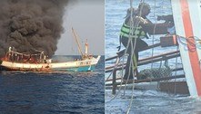 Gatos são resgatados de barco em chamas e prestes a naufragar 