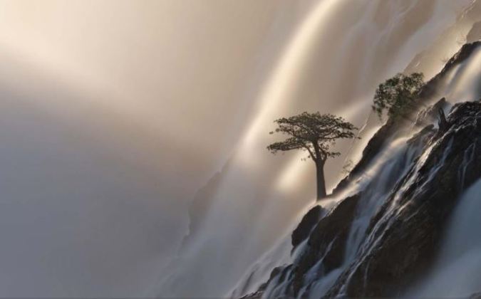 Na categoria “Paisagem”, a suíça Anette Mossbacher levou o
prêmio da GDT com a fotografia “A árvore da vida”, que retrata os raios solares
tocando um conjunto de árvores enraizadas em uma encosta nebulosa