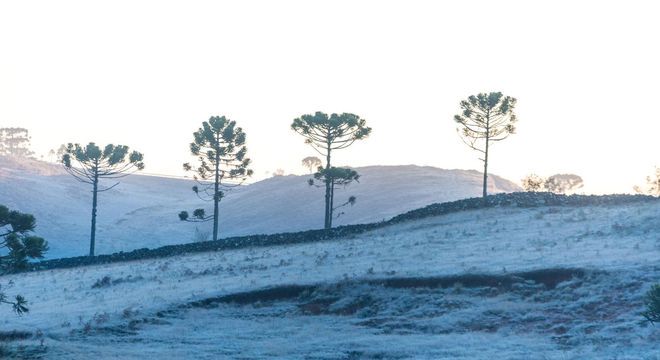 Os campos da Coxilha, em Lages (SC), amanheceram brancos da geada