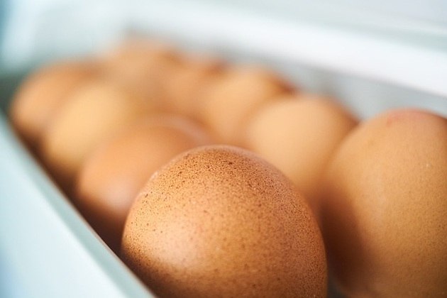 7 - Não guarde ovos na porta da geladeira. Nesse local, a mudança de temperatura é frequente, e isso pode acelerar a sua deterioração 