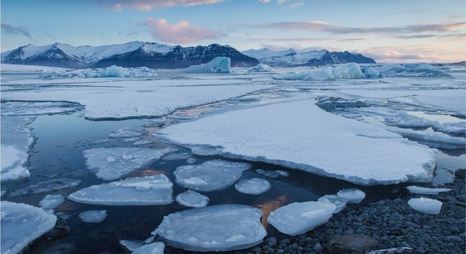 Aquecimento global pode ser o principal inimigo dos tardígrados