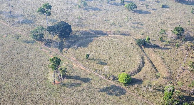 Calcula-se que o Brasil tenha 500 geoglifos - ironicamente, por causa do desmatamento, mais figuras estão sendo descobertas