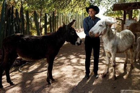 Flores: 'o burro representa um amigo'