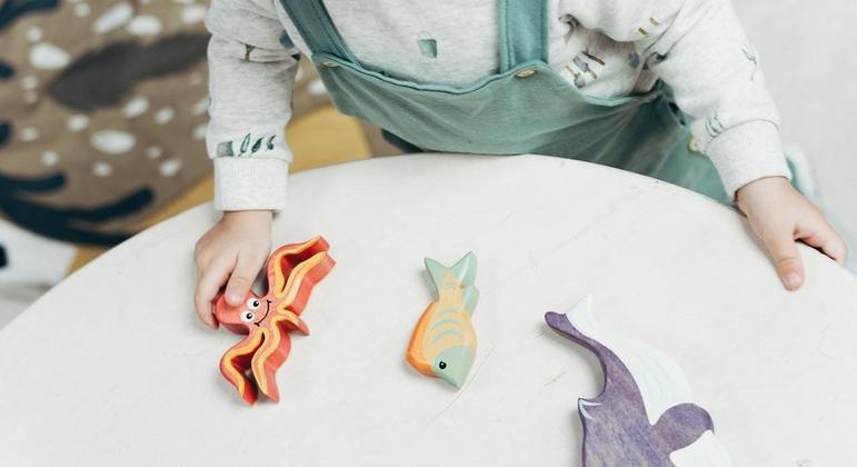 A mudança contemplará desde a embalagem dos brinquedos até a sua composição total