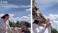 Girafa se intromete em pedido de casamento e manda noiva para o hospital com cabeçada