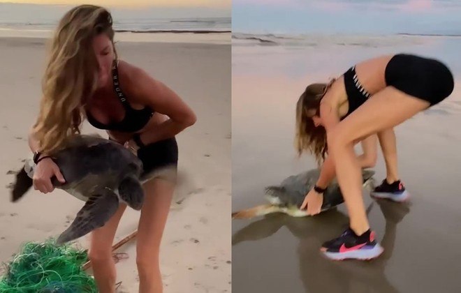 Gisele também tem destaque como ativista ambiental e, com frequência, usa as redes sociais para defender os animais e a preservação da natureza. Em dezembro de 2021, ela fez o resgate de uma tartaruga que estava presa em uma rede de pesca, embaixo de uma pilha de lixo arrastada pela maré até a areia. 