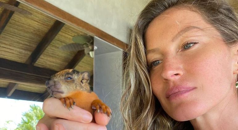 Gisele Bündchen resgatou bebê esquilo que caiu de árvore