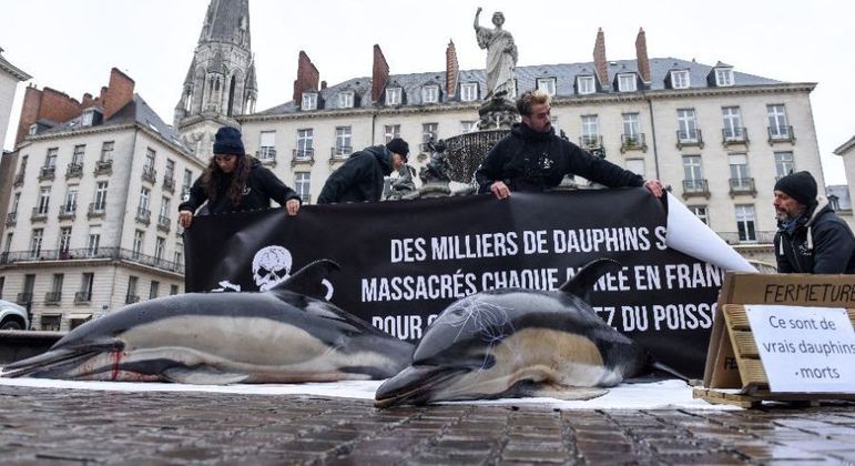 Manifestantes alertam para a matança desenfreada de golfinhos na França