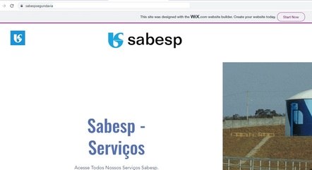 Reprodução de site falso