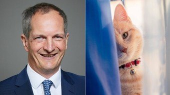 Former minister says government ‘considered killing all cats’ in UK at start of pandemic – News