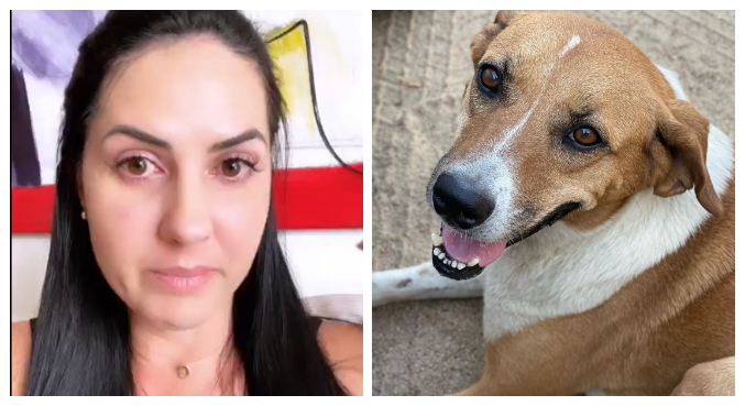 Graciele divulgou fotos da cachorrinha de estimação nas redes sociais