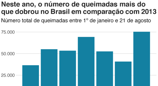 Gráfico sobre queimadas na Amazônia
