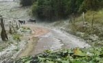 Ainda segundo os instituto, Campanha e Três Corações também foram atingidas. Um telespectador da Record TV Minas registrou os reflexos da tempestade na zona rural de Minduri