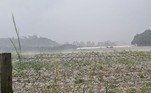  No entanto, cafeicultores relataram prejuízos. De acordo com o órgão, um produtor de café perdeu cerca de 80% da produção.