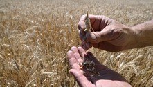 Ucrânia retoma exportações de grãos após Rússia voltar a acordo