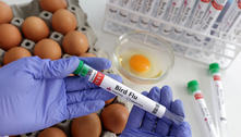 Chile detecta primeiro caso de gripe aviária em humano 
