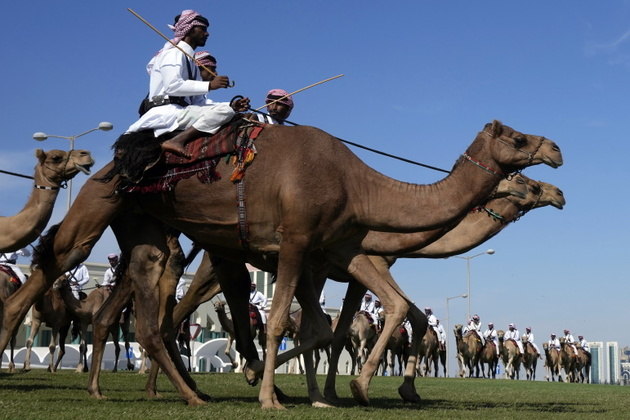 Se os guardas do Palácio de Buckingham que protegem o rei Charles 3º chamam atenção em Londres, o que dizer dos seguranças cataris e seus camelos que cuidam do Amiri Diwan, o órgão soberano e escritório administrativo do Catar, em Doha?