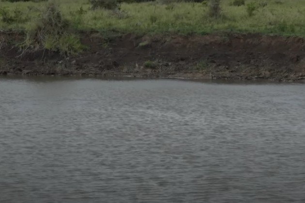 'Essa é a parte mais triste', pontuou BusaniJá no México, um sem-teto foi abocanhado e levado ao fundo de uma laguna por um crocodilo. Veja a seguir!