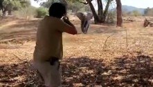 Guias de safári armados evitam ataque de elefanta aos gritos: 'Profissionalismo e compostura'