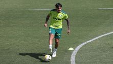 Palmeiras se reapresenta e Gómez mira recuperação no Brasileirão