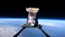 Um pacote de bucho com vísceras orbitou a Terra por quase 3 horas