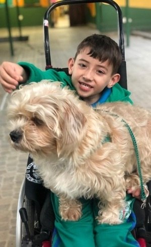 Henrique e seu cão, Pipo