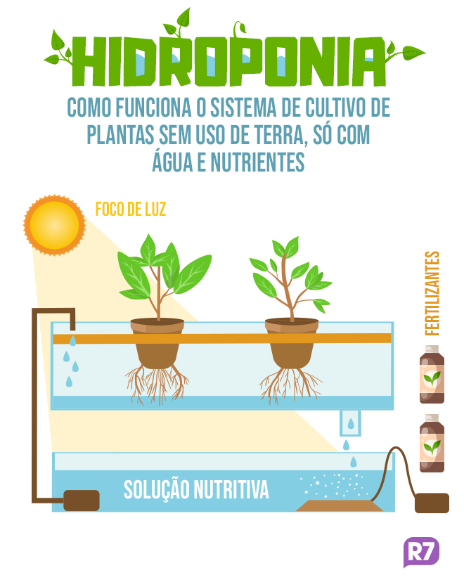 12 Mitos E Verdades Sobre Orgnicos E Hidropnicos