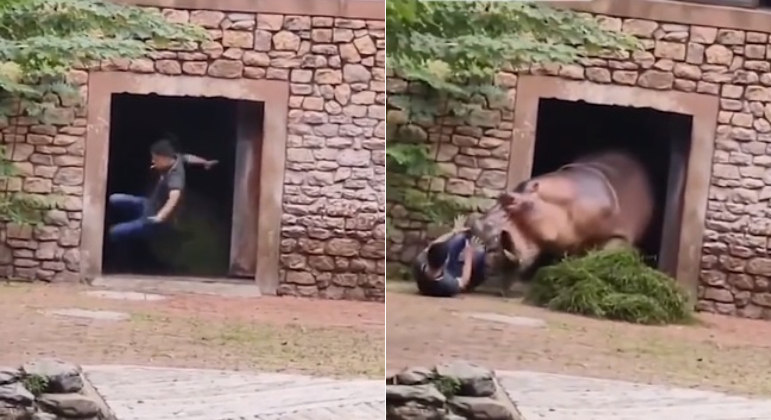 Hipopótamo derrubou tratador do Zoológico Ecológico de Changsha, na China