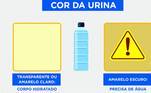Pela cor da urina é possível identificar se o corpo precisa de água: caso o xixi esteja em um tom de amarelo escuro é preciso se hidratar