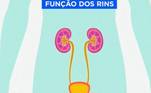 Os rins têm a função de filtrar o sangue e eliminar as impurezas por meio da urina. Porém, se há pouco líquido no organismo, eles concentram todas as sujeiras que deveriam ser eliminadas no xixi, ocasionando a formação dos cálculos renais  
