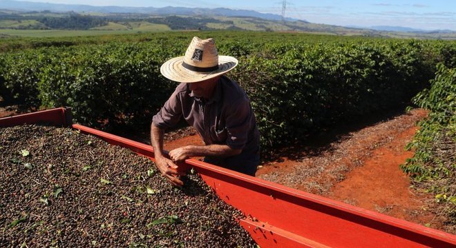 'A agropecuária brasileira não precisa expandir (a área utilizada) para poder crescer sua produção e poder suprir o mundo com uma demanda crescente de alimentos', diz Vieira