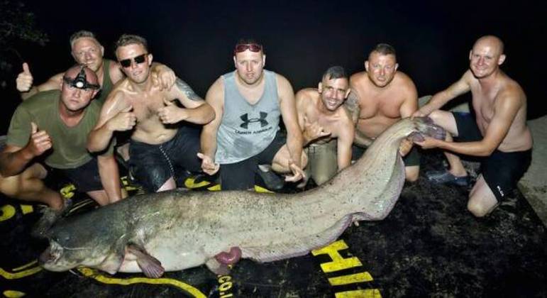 Peixe tinha mais de 110 kg e 2,5 metros
