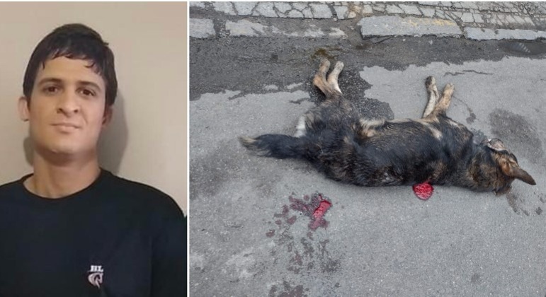 Homem preso por matar cachorro em Pernambuco